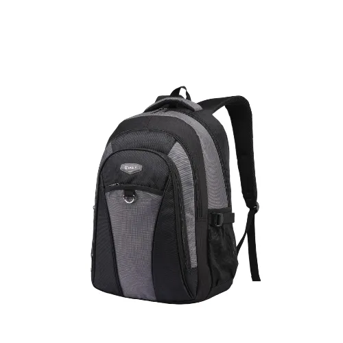 Eagle Versatile Laptop Backpack