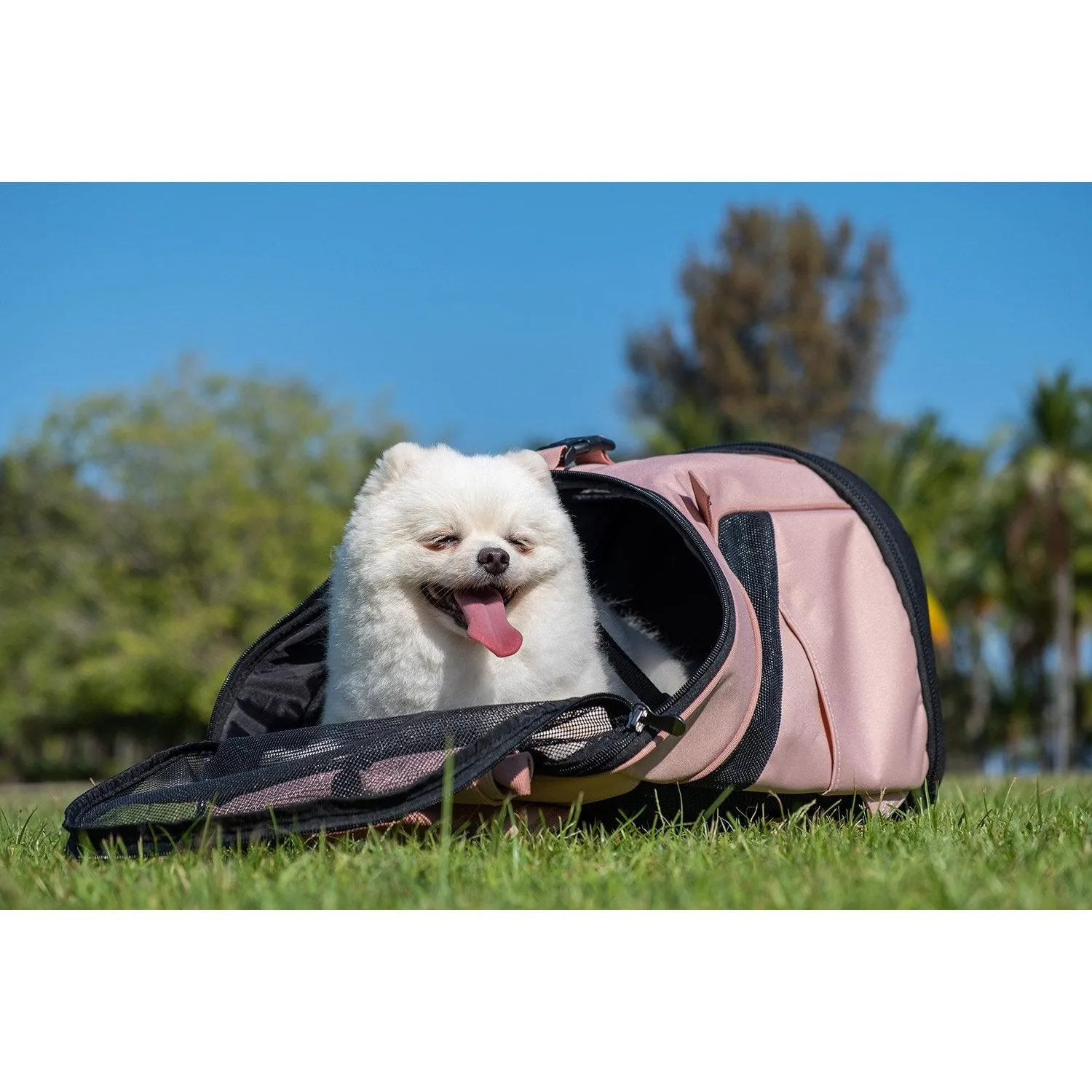 Ibiyaya Ultralight Pro Coral Pink Backpack Pet Carrier