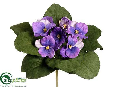 Silk Plants Direct African Violet Bush - Purple - Pack of 12