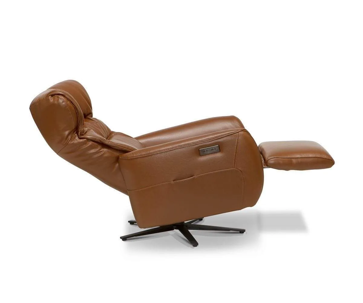 Tobias Power Recliner